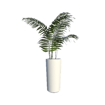 Plant 2